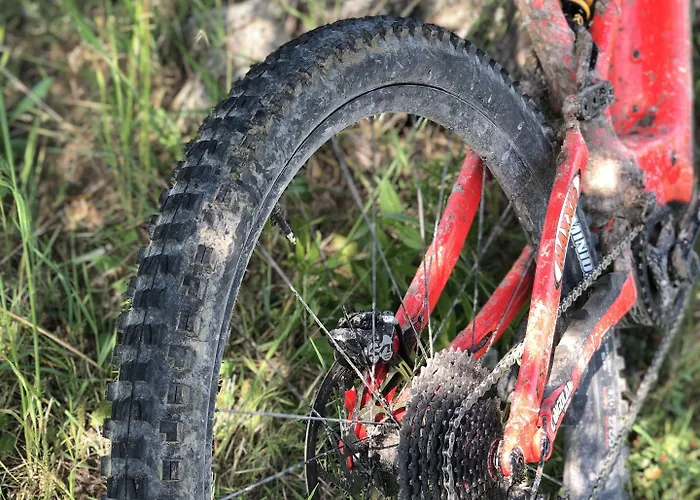 Hotel Rosa Riviera Rimini