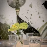 Hotel Rosa Riviera